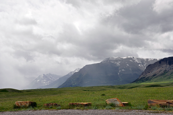 scenery at Bison Paddock